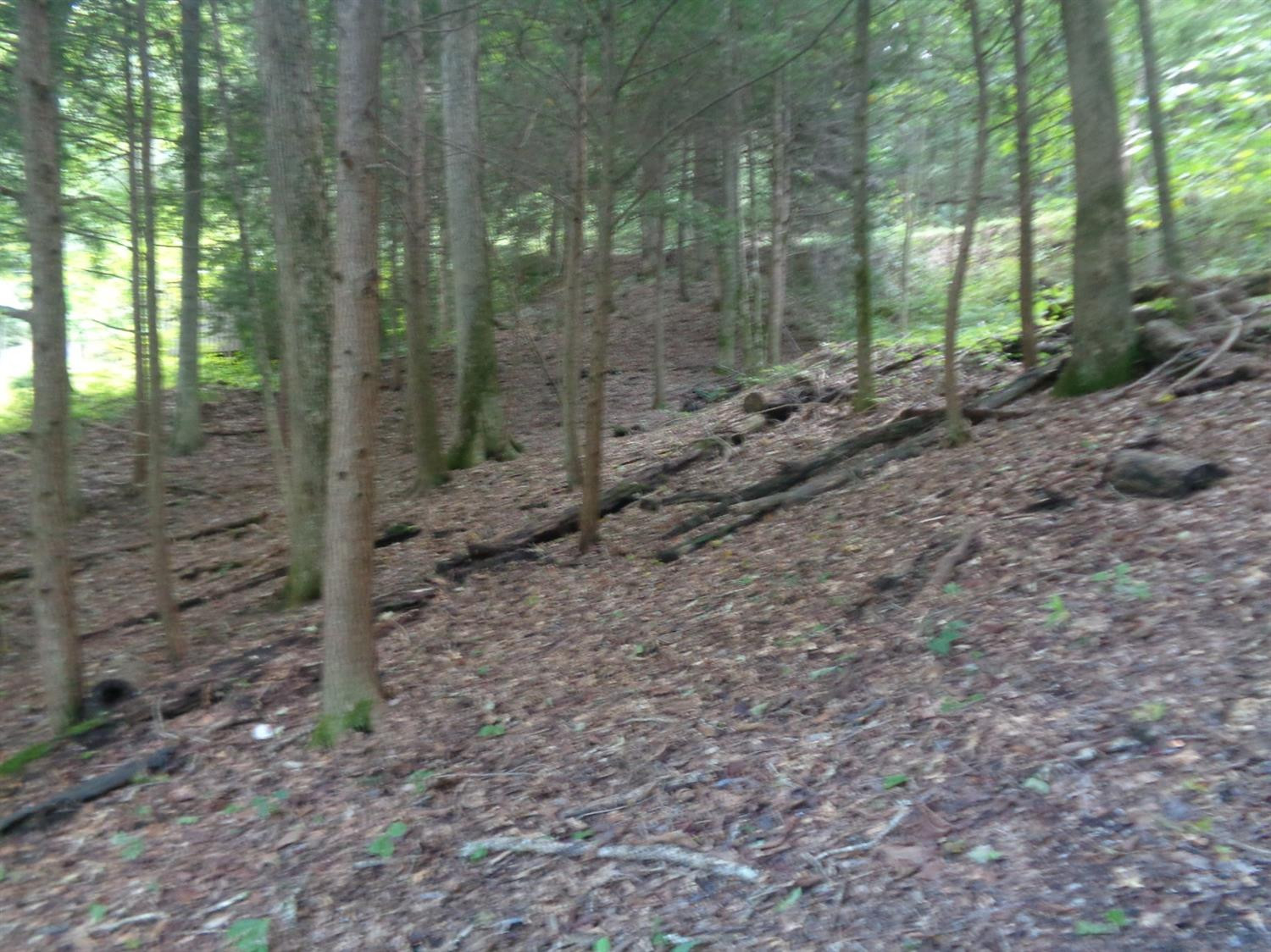 1100 Lake Road London, KY 40741 - Photo 11 of 19 Photo 11