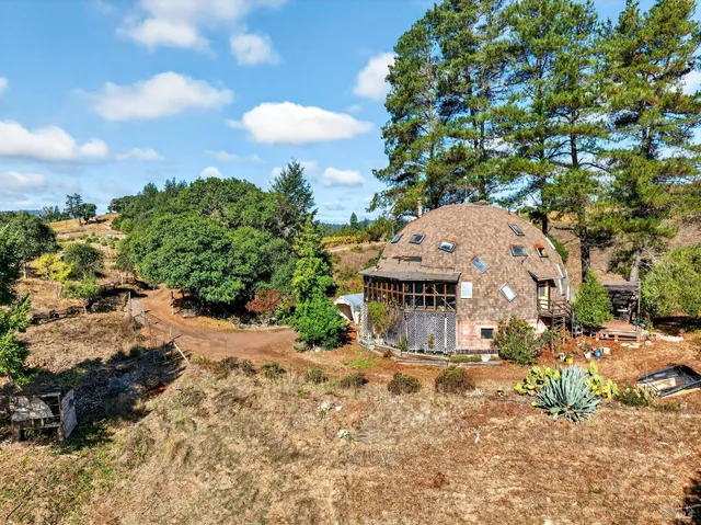 a view of a town with large trees