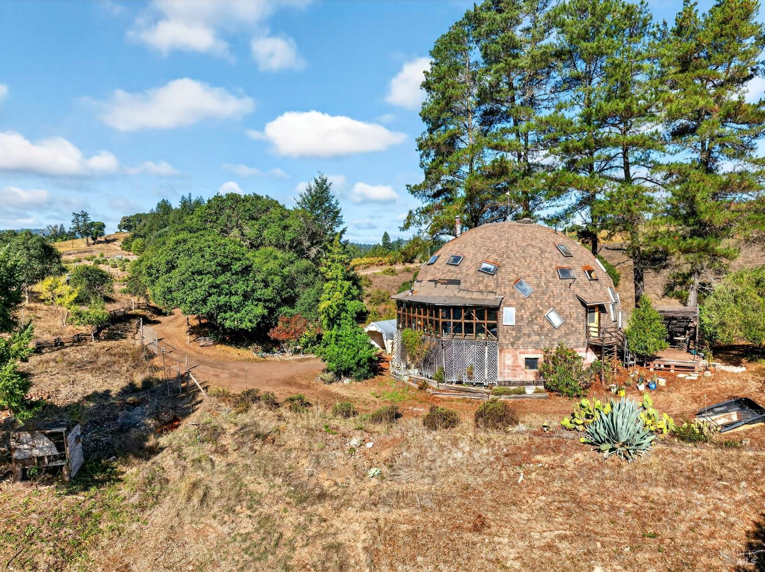 a view of a town with large trees
