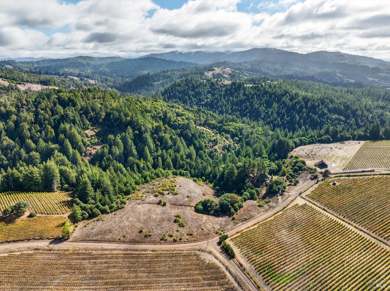 2333 Guntley Road Philo, CA 95466 - Photo 3 of 57 a view of a outdoor space