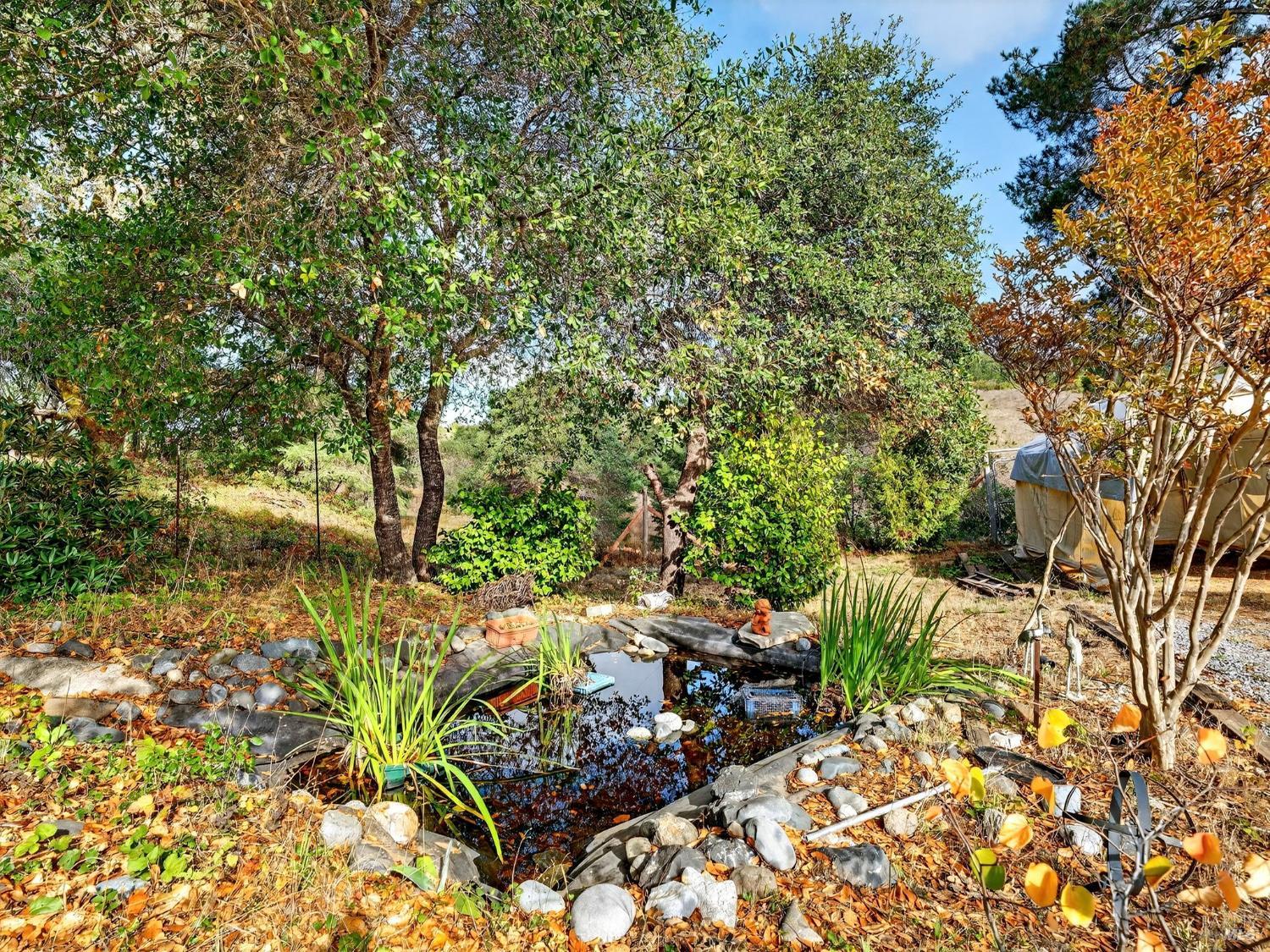 2333 Guntley Road Philo, CA 95466 - Photo 44 of 57