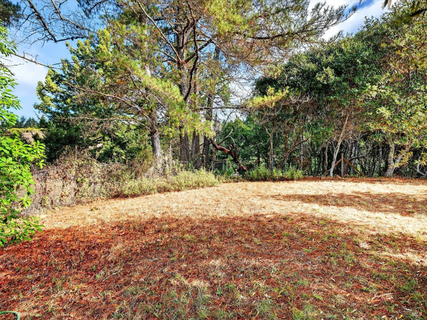 2333 Guntley Road Philo, CA 95466 - Photo 46 of 57 a view of empty yard with large trees