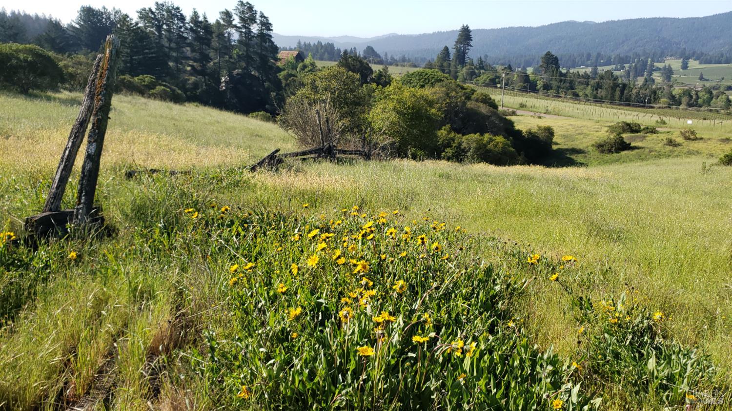 2333 Guntley Road Philo, CA 95466 - Photo 50 of 57 a view of a lake with houses