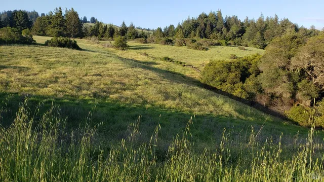 $690,000 | 2333 Guntley Road, Philo, CA 95466