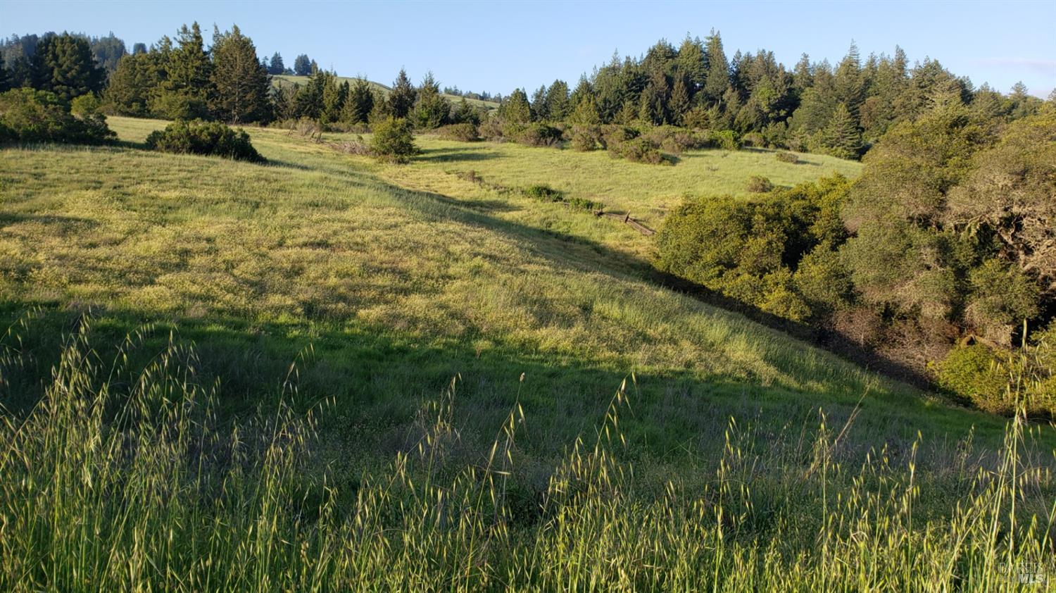 2333 Guntley Road Philo, CA 95466 - Photo 53 of 57 a view of an outdoor space and a lake view
