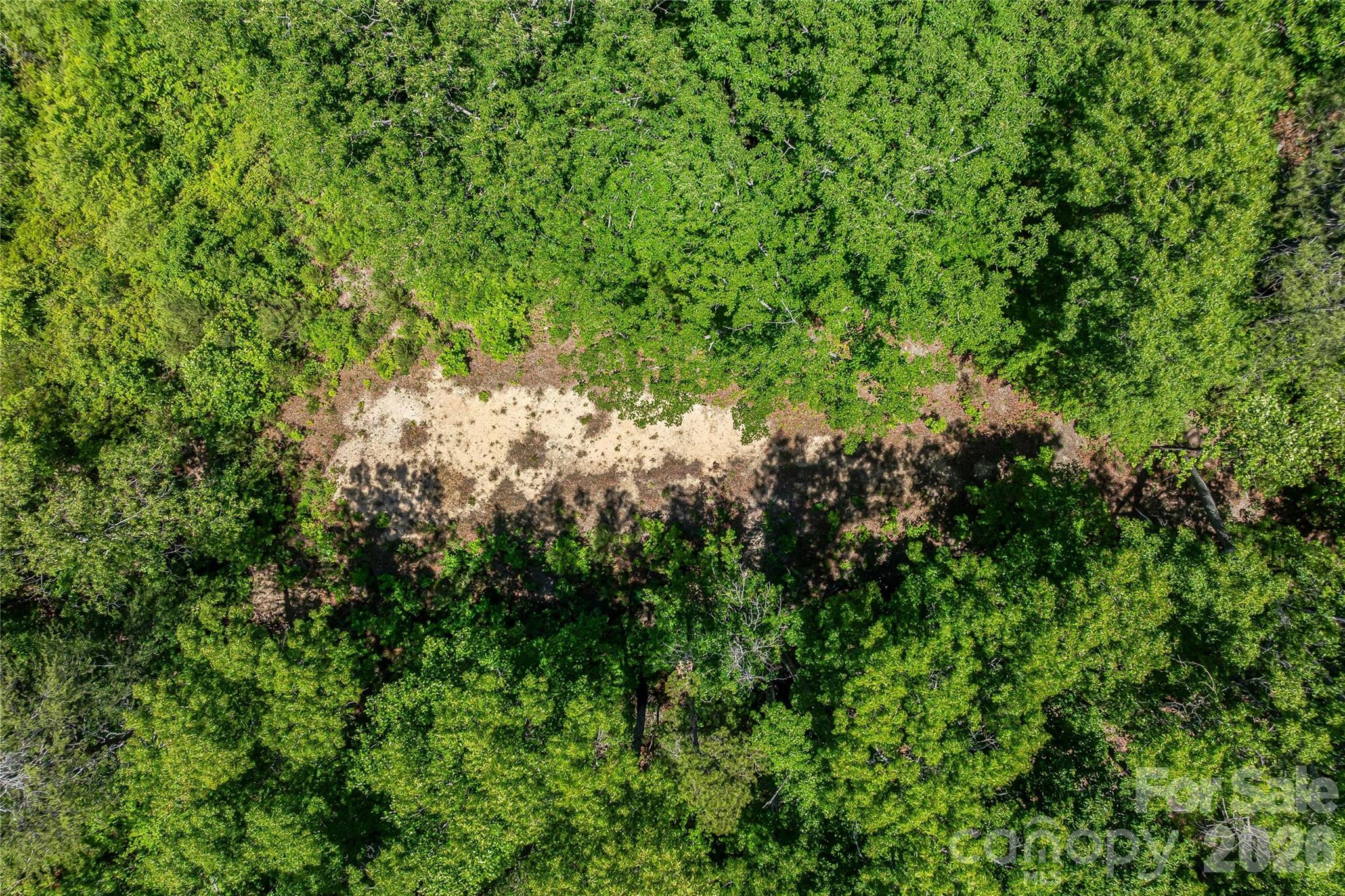 180 Fat Wall Road Marion, NC 28752 - Photo 21 of 32 a view of a lush green forest