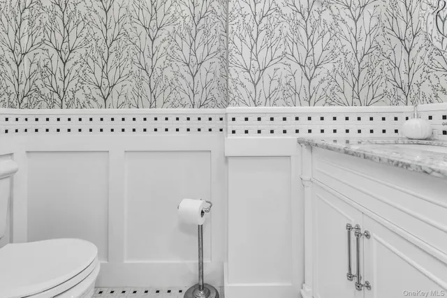 a bathroom with a toilet and a vanity