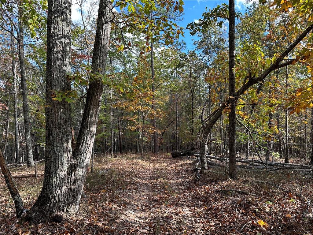 1806 Browning Road Rockmart, GA 30153 - Photo 96 of 97