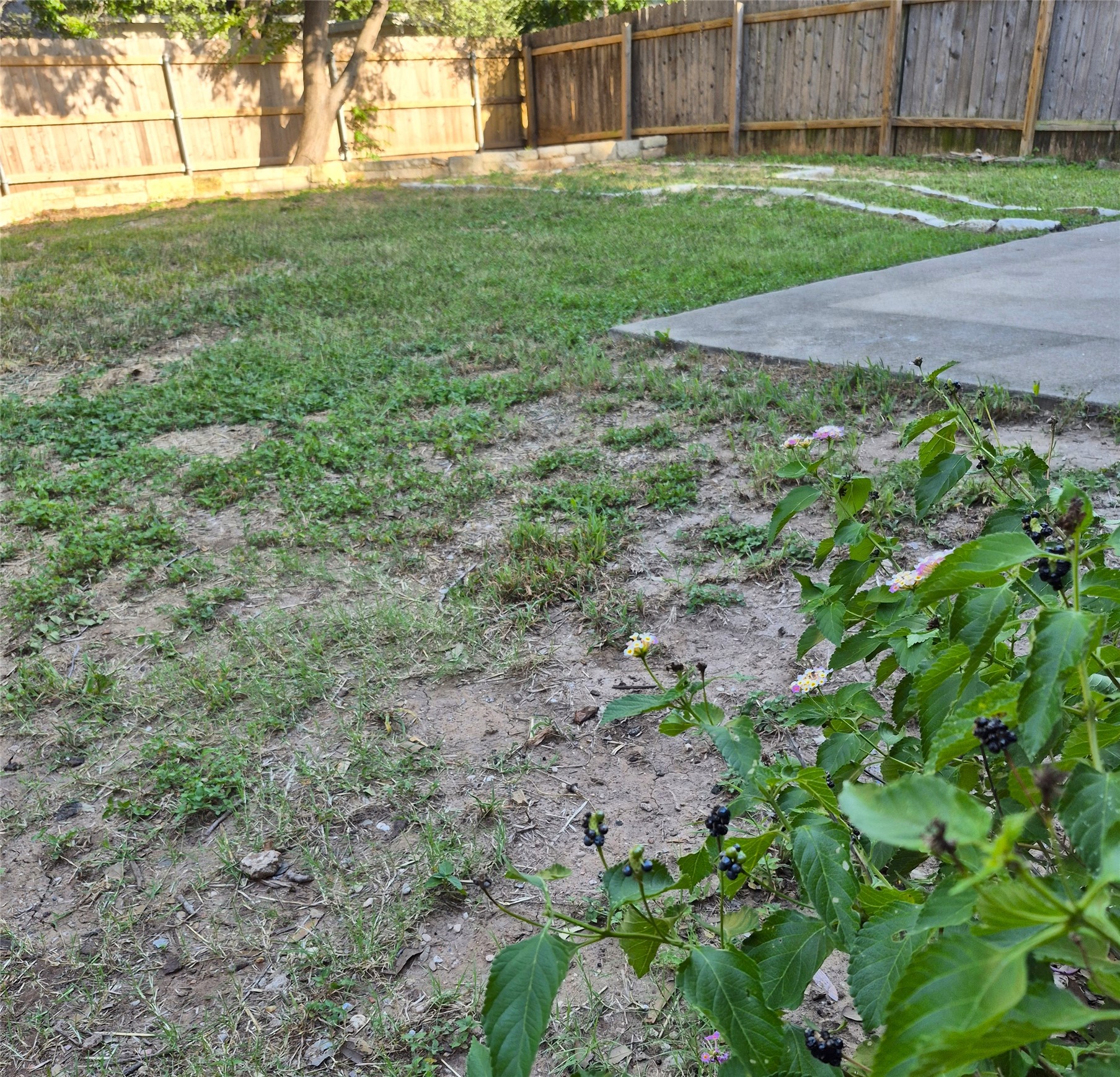 1139 Emmitt Run Austin, TX 78721 - Photo 25 of 30 Back yard