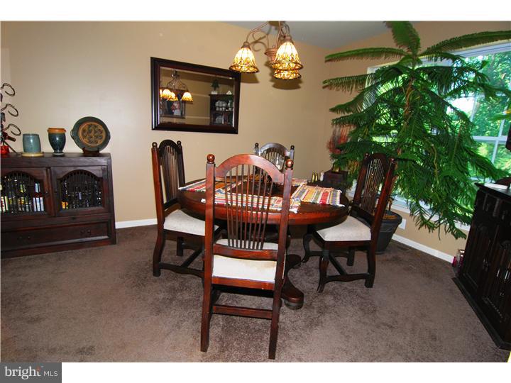 302 Longview Drive Sinking Spring, PA 19608 - Photo 3 of 20 Gallery Image 3