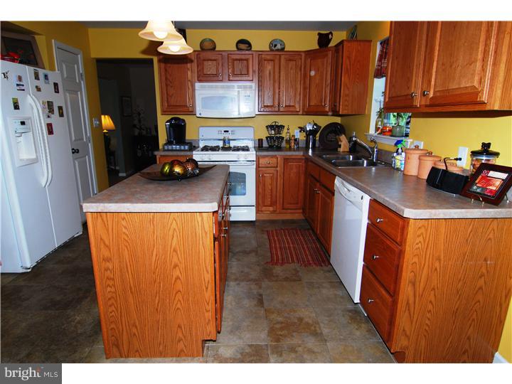 302 Longview Drive Sinking Spring, PA 19608 - Photo 5 of 20 Gallery Image 5