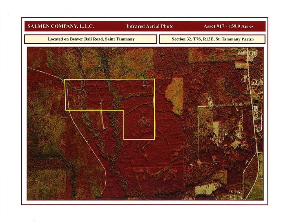 0 Beaver Ball Road Lacombe, LA 70445 - Photo 5 of 5