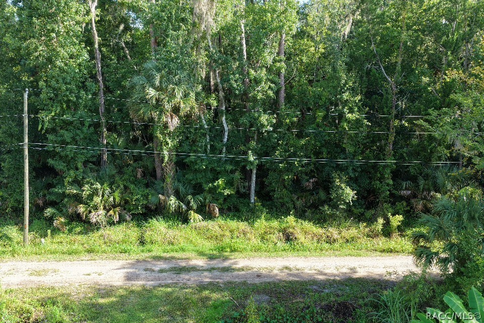 0 Gobbler Road Astor, FL 32102 - Photo 4 of 34 Gallery Image 4
