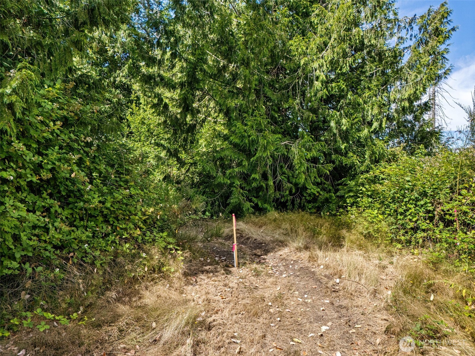 0 Rouse Road Southwest Longbranch, WA 98351 - Photo 6 of 20 Gallery Image 6