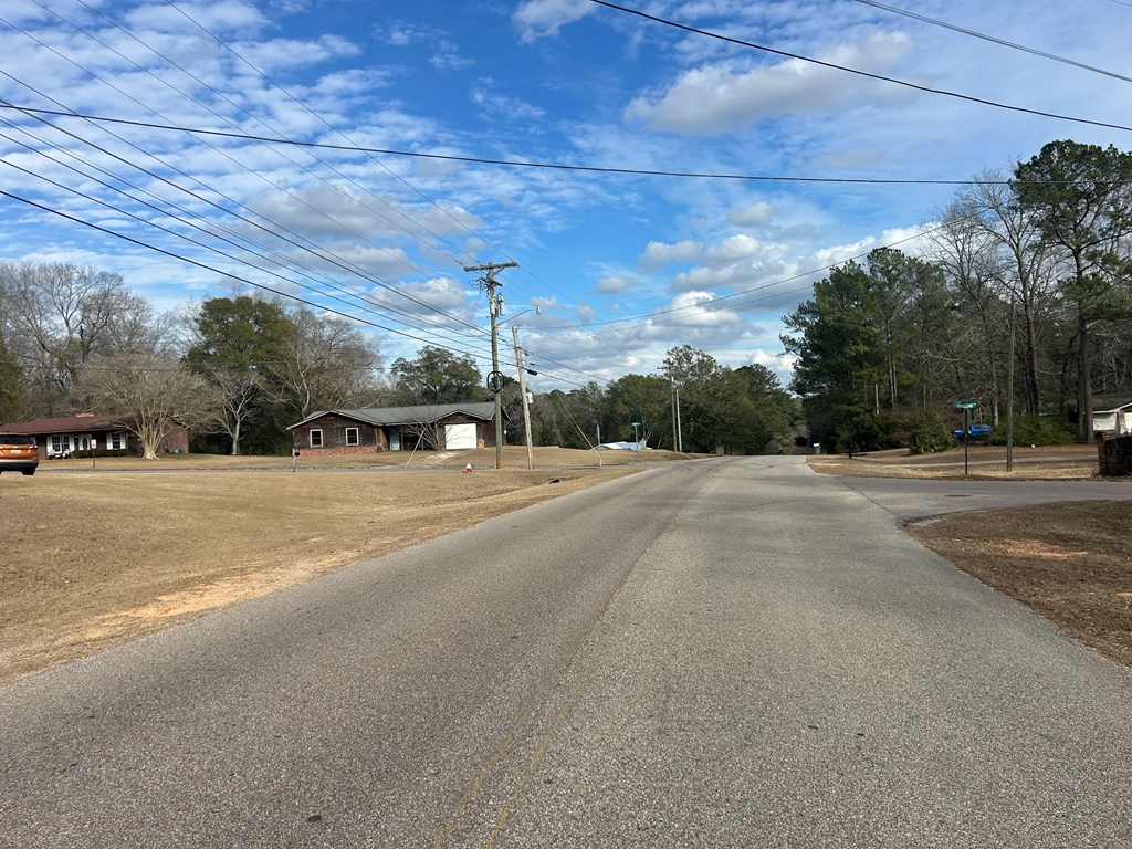9-ac Whittle Hudson Road Ozark, AL 36360 - Photo 21 of 34