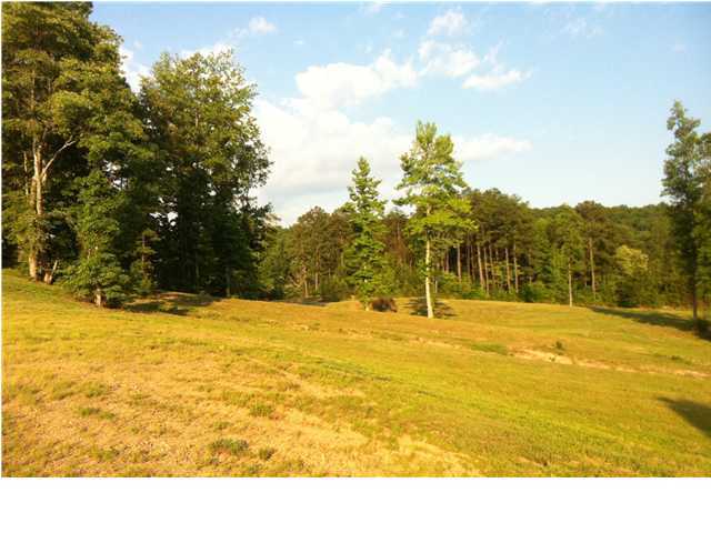 4617 McDonald Road Collegedale, TN 37302 - Photo 5 of 8 Additional Photo