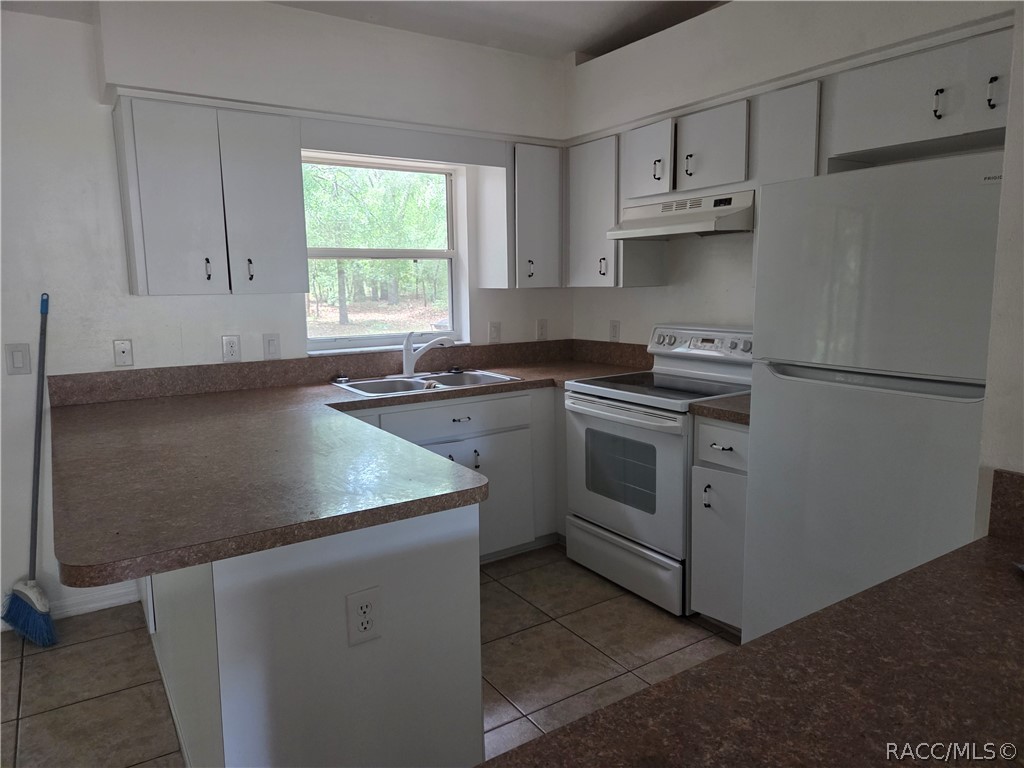 1471 East St James Loop Inverness, FL 34453 - Photo 5 of 12