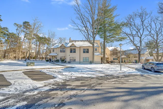 a street view with large trees