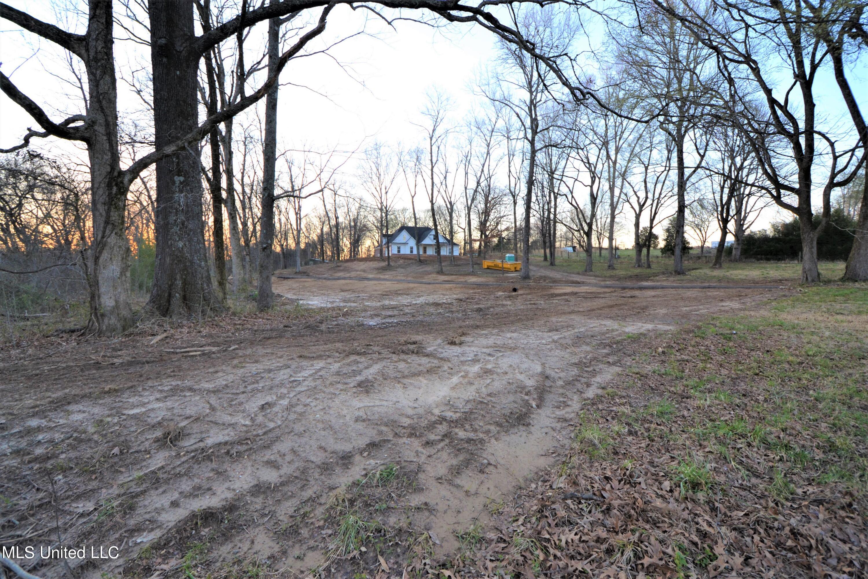 4315 Sycamore Road Coldwater, MS 38618 - Photo 5 of 7 DSC_2704