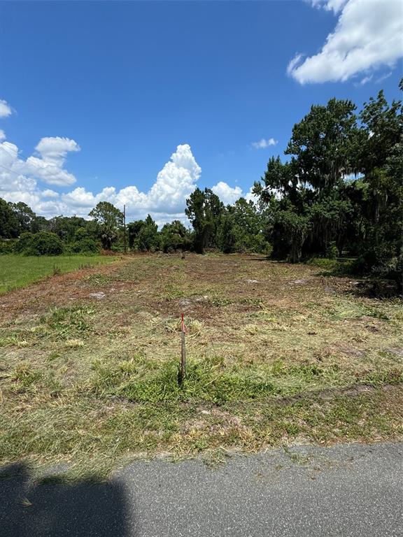 Cove Road Tavares, FL 32778 - Photo 14 of 16 a view of a lake view