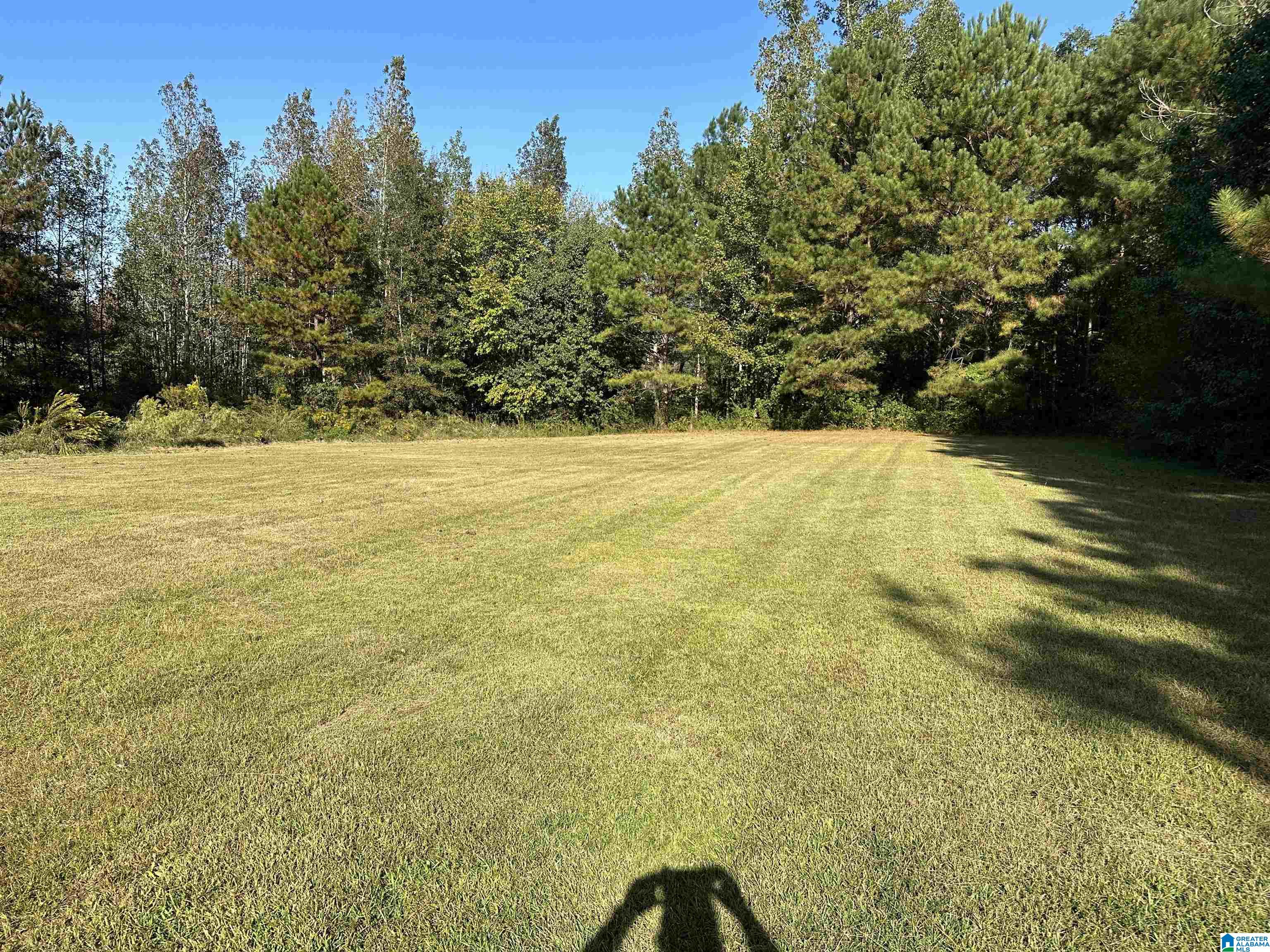 1407 County Road 41 Clanton, AL 35046 - Photo 25 of 28