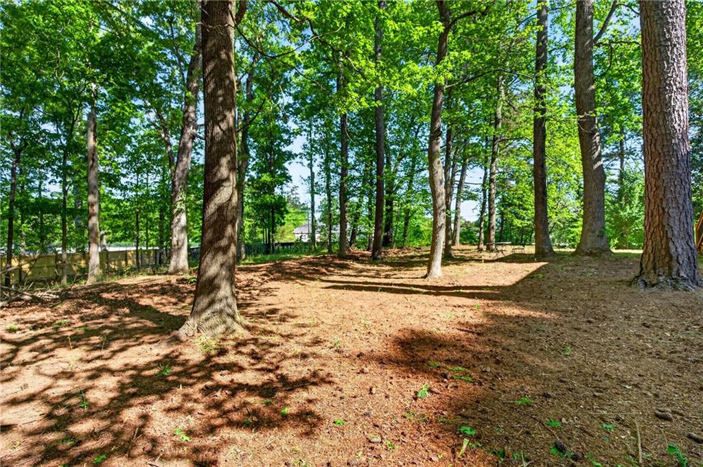 7830 Llangollen Way Cumming, GA 30041 - Photo 55 of 60 a view of a tree in the middle of a yard