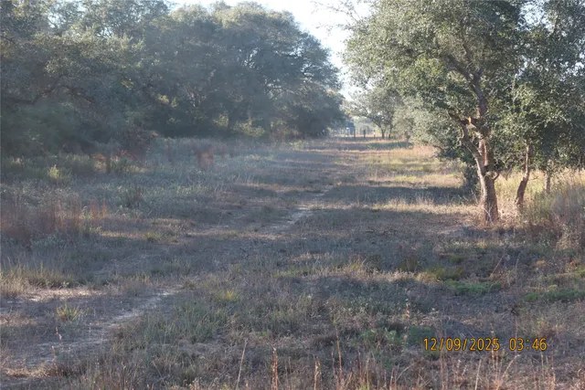 a view of dirt field with trees in background