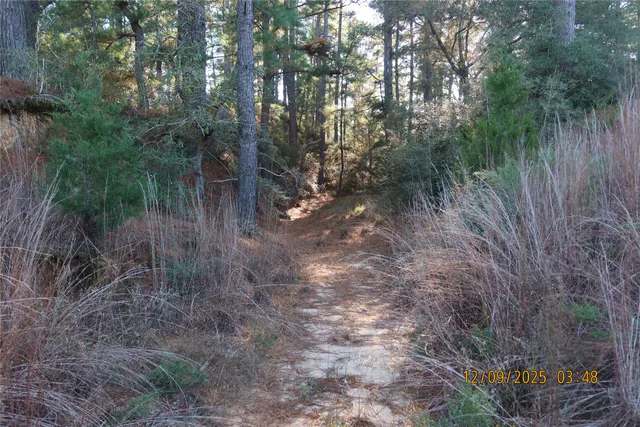 a view of a lake with lots of trees