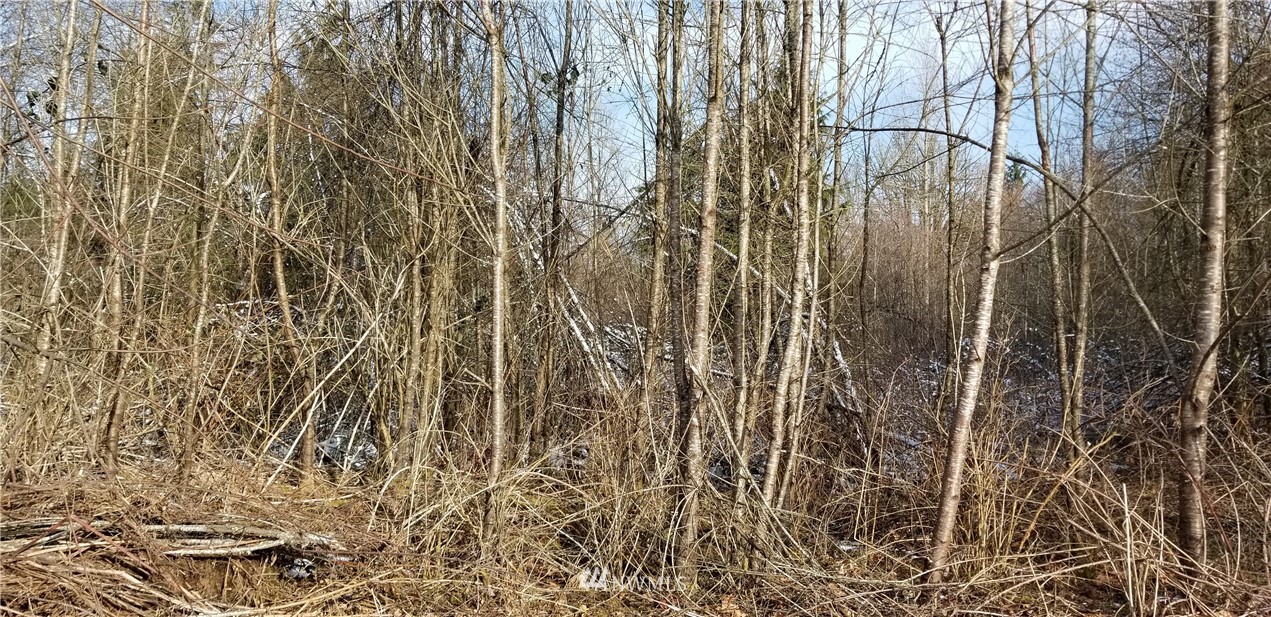 998 B Burnt Ridge Road Onalaska, WA 98570 - Photo 3 of 10 Gallery Image 3