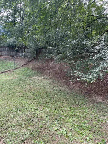 a view of a yard with a tree