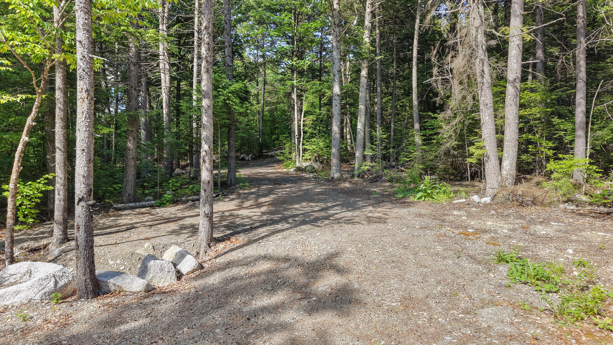 19 Brown Road Danforth, ME 04424 - Photo 5 of 31 dji_fly_20260616_160528_0057_17816402120