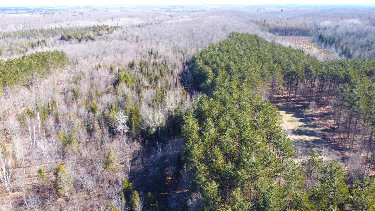 8 Old 8 Road Crandon, WI 54520 - Photo 12 of 39 Gallery Image 12