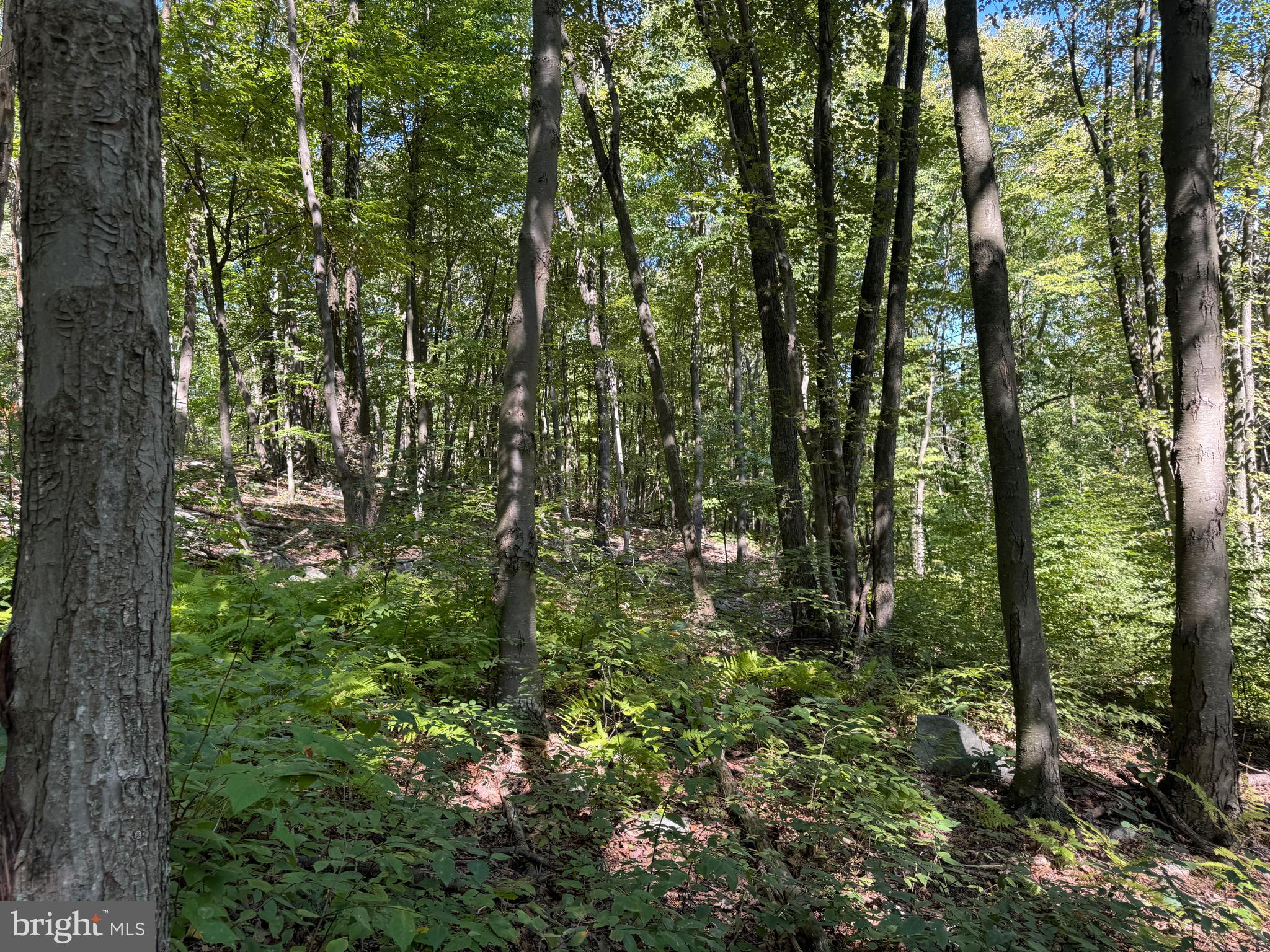 Three Laurel Mountain Road Three Springs, PA 17264 - Photo 23 of 31 Gallery Image 23
