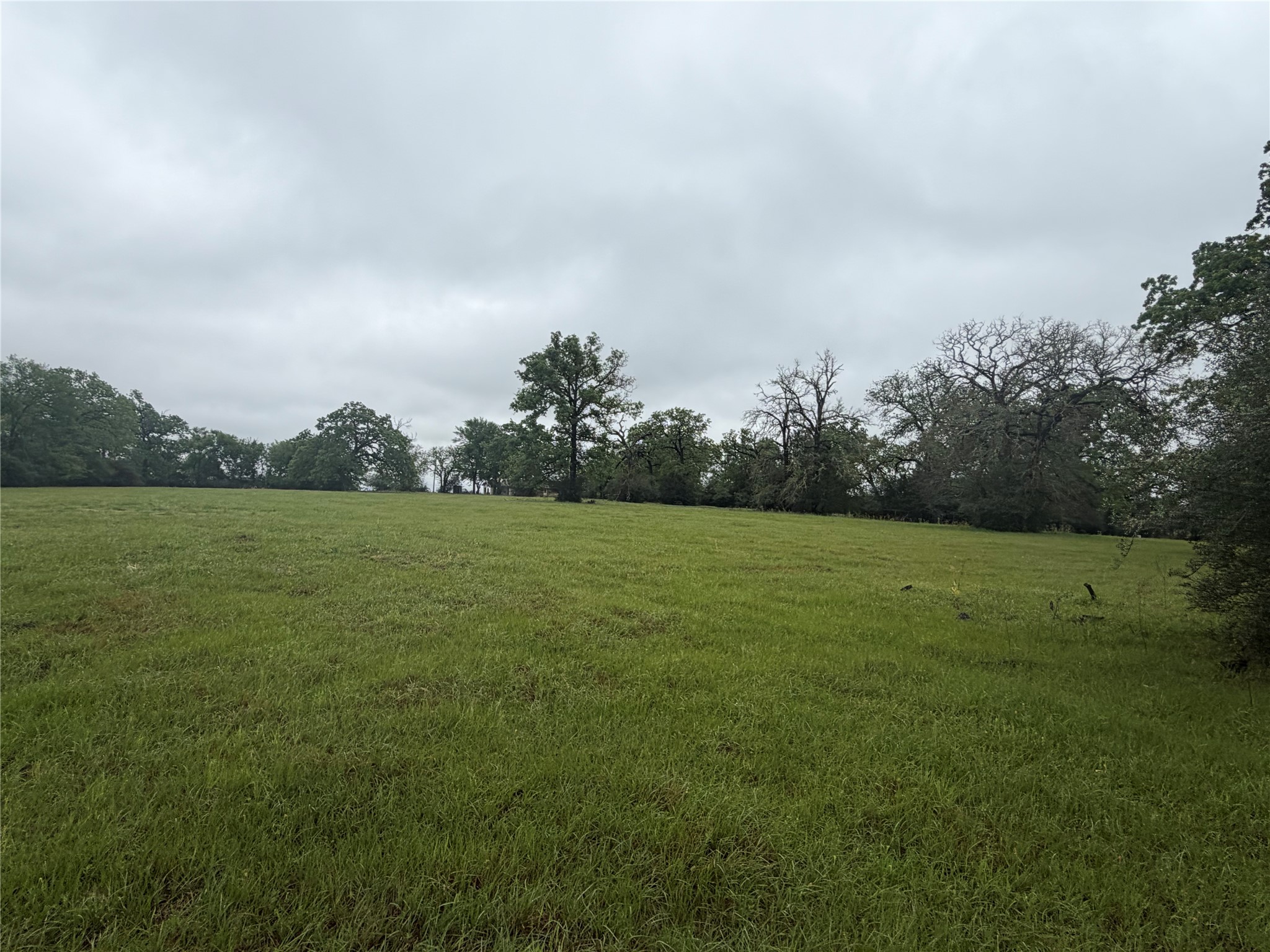 18043 Sterling Robertson Dam Road Thornton, TX 76687 - Photo 9 of 11 a view of a green field with clear sky