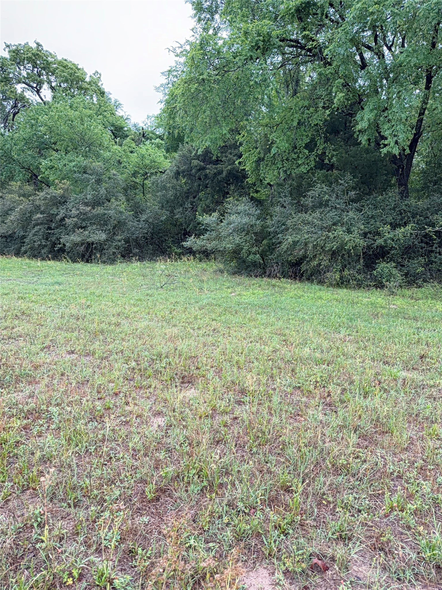 18043 Sterling Robertson Dam Road Thornton, TX 76687 - Photo 10 of 11 a view of outdoor space and yard