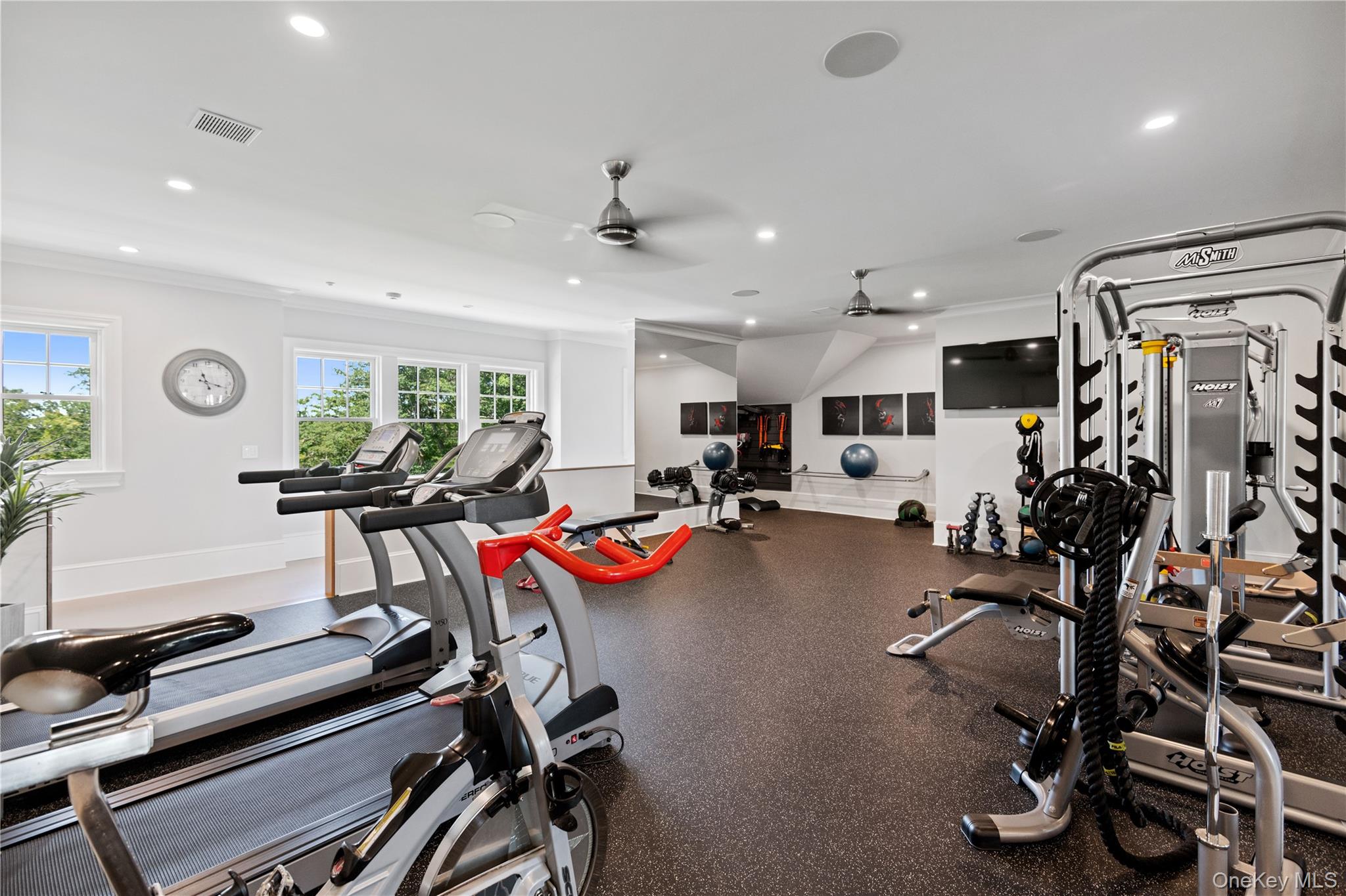471 Woodbury Road Cold Spring Harbor, NY 11724 - Photo 25 of 36 a view of a room with gym equipment