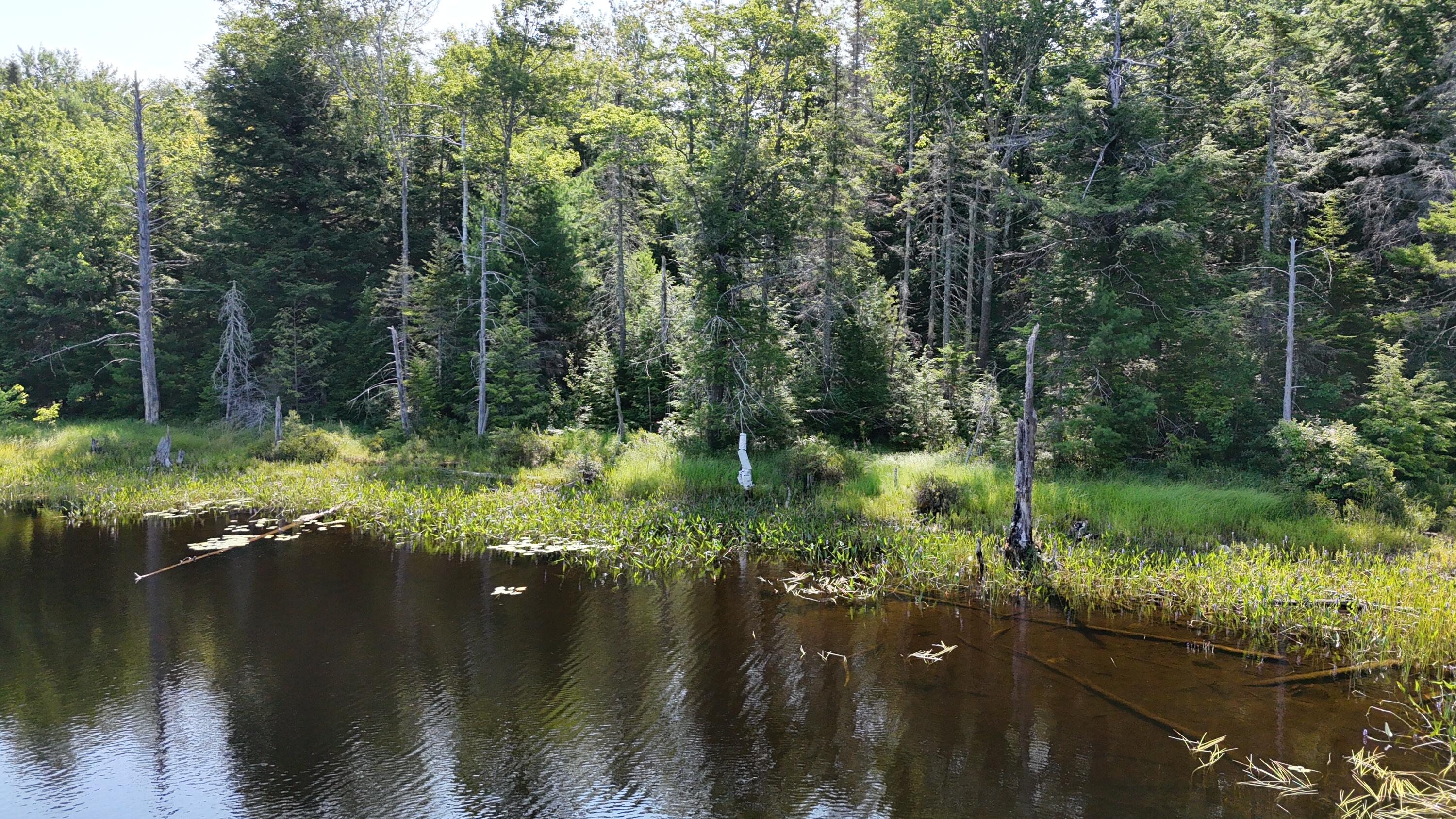 Lot 83-84 Off Jesse Ladd Road Vienna, ME 04360 - Photo 21 of 46 26acresOnDavisPond (32)