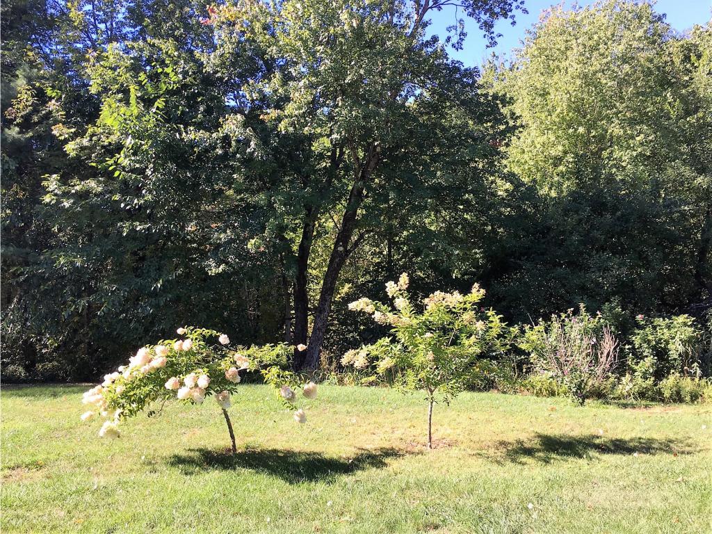 103 River Road Weare, NH 03281 - Photo 16 of 21