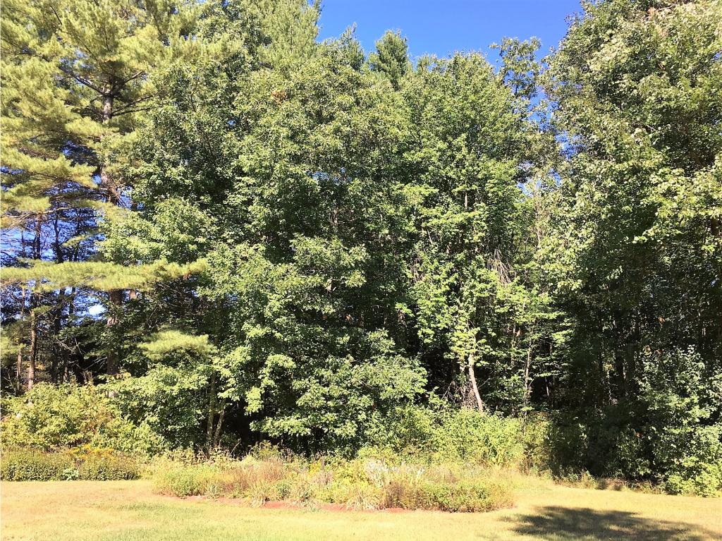 103 River Road Weare, NH 03281 - Photo 18 of 21