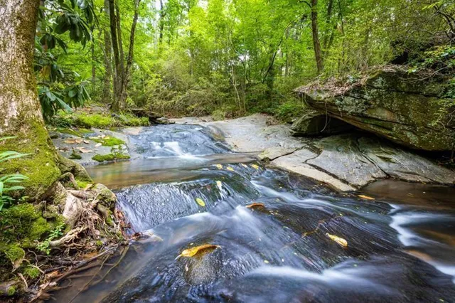 $13,000 | 4421 Paradise Circle Southeast, Vinings, GA 30339