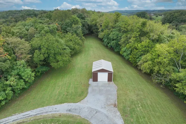 a swimming pool with some trees in the background