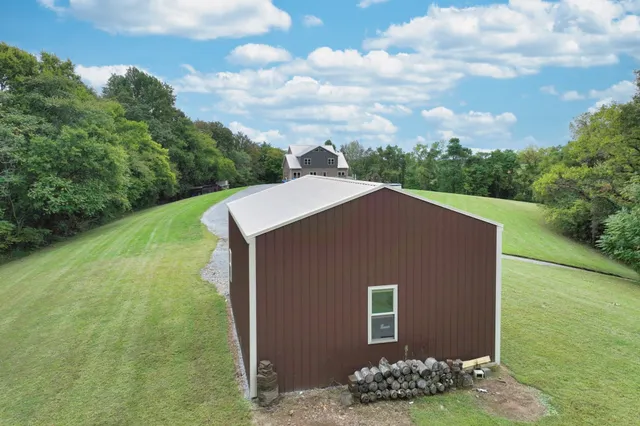 a view of a plant in a garden
