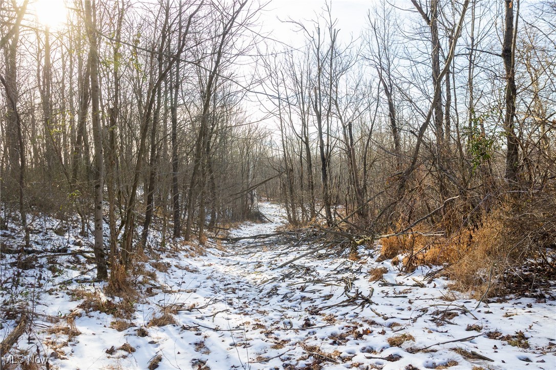 9 County Road New Matamoras, OH 45767 - Photo 15 of 48 View of snow covered land