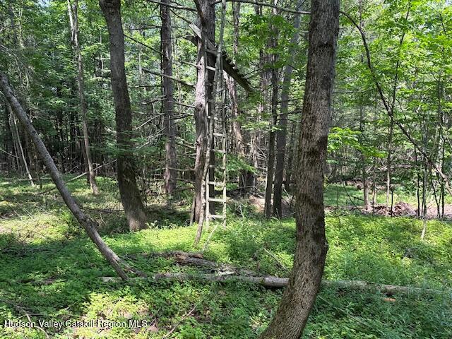 Tbd Tbd Valley View Road Prattsville, NY 12468 - Photo 18 of 19 a green field with lots of trees
