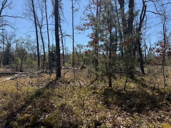 $10,000 | Vl Prarie Road, Idlewild, MI 49642