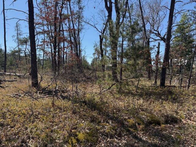 Vl Prarie Road Idlewild, MI 49642 - Photo 2 of 10 IMG_0494