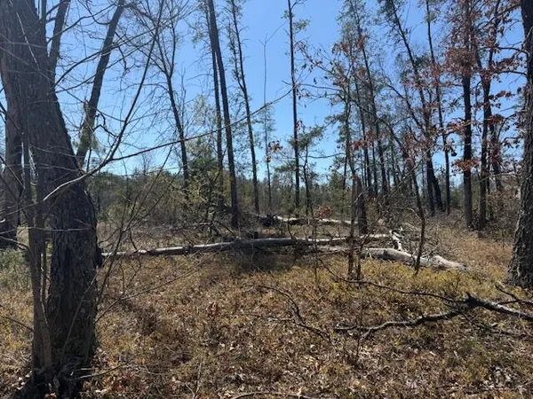 $10,000 | Vl Prarie Road, Idlewild, MI 49642