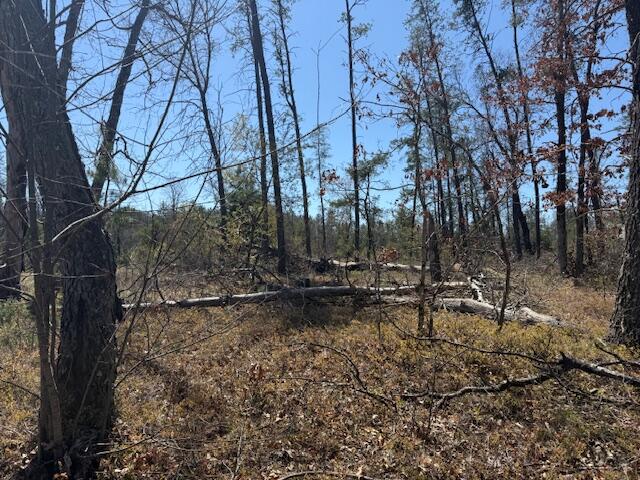 Vl Prarie Road Idlewild, MI 49642 - Photo 3 of 10 Main