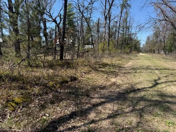 $10,000 | Vl Prarie Road, Idlewild, MI 49642