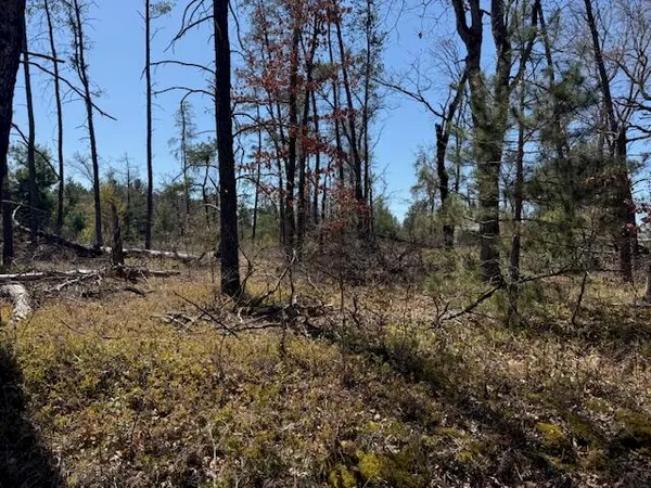 $10,000 | Vl Prarie Road, Idlewild, MI 49642